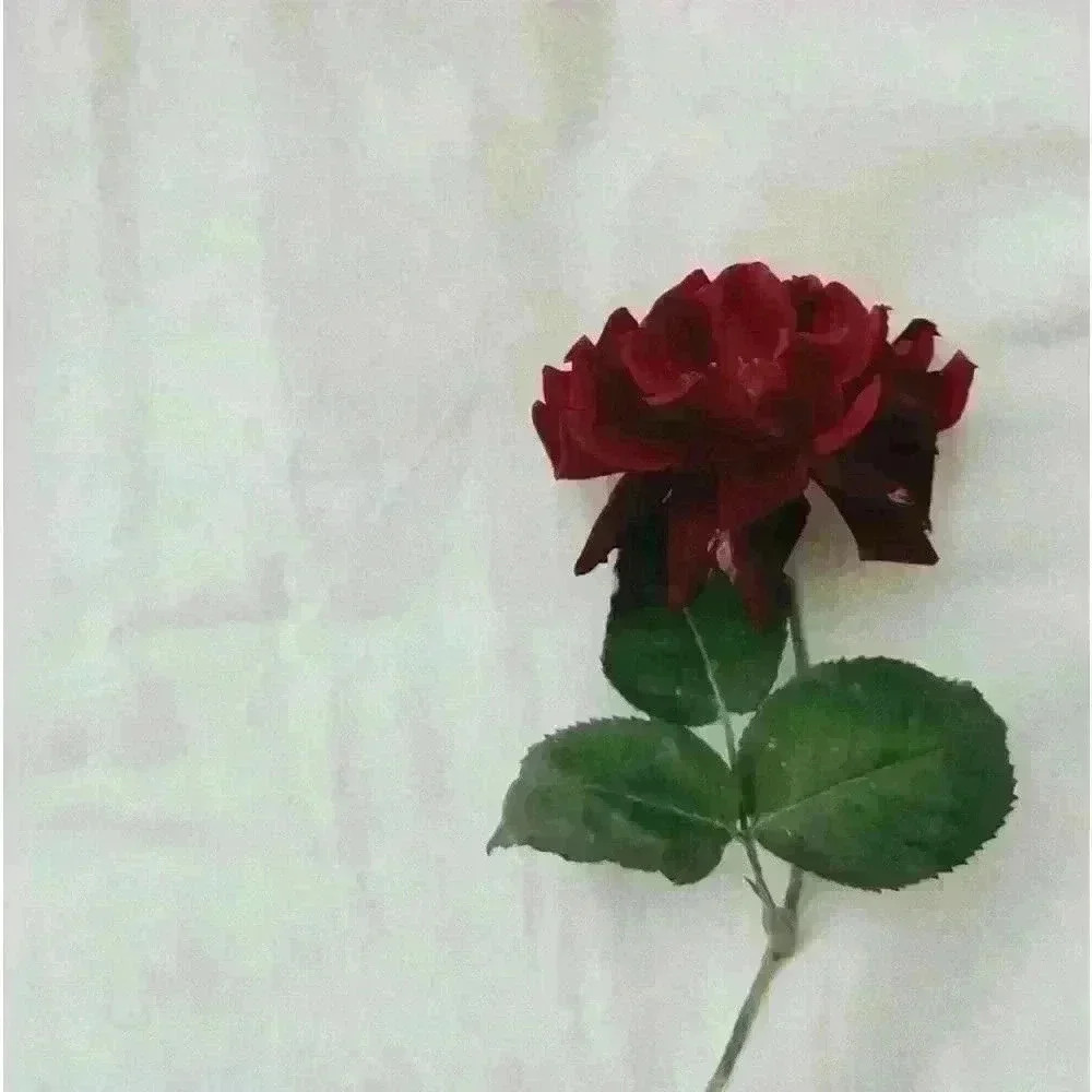 🖤 TO BE NOTIFIED WHEN I GO LIVE !! ……………………………………………………………………………………………………………………